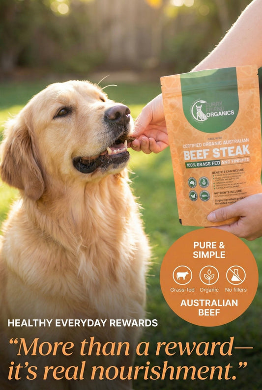 Organic Beef Steak Treats - Furry Friend Organics