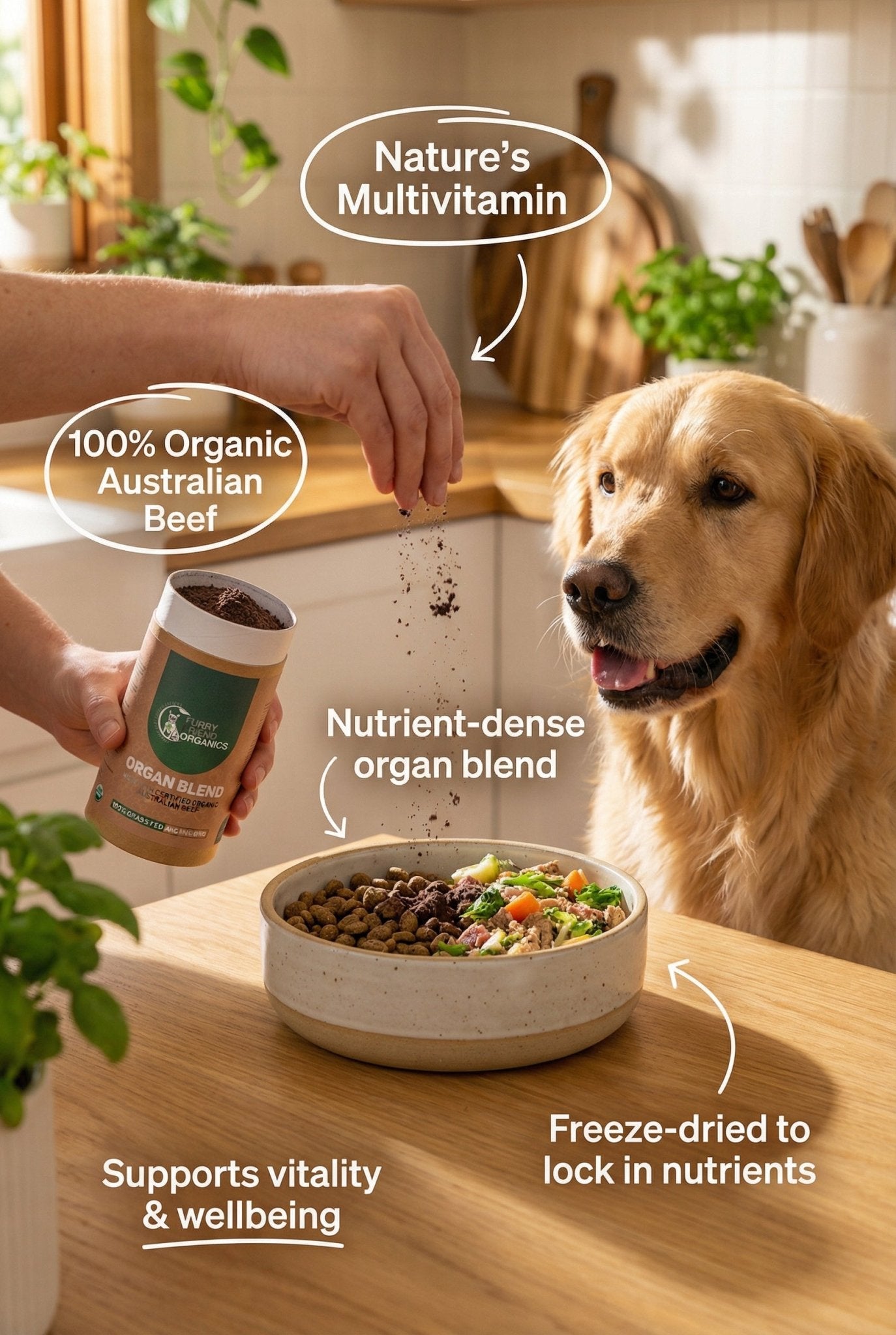 Organic Organ Blend - Furry Friend Organics